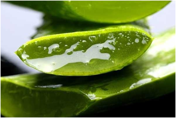 محصولات فوراور، از ژل خالص و طبیعی آلوئه ورا